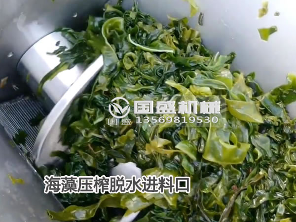 海藻壓榨脫水 海藻壓榨脫水