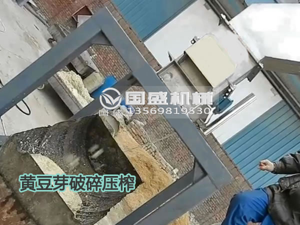 國(guó)盛黃豆芽固液分離機(jī) 國(guó)盛黃豆芽固液分離機(jī)