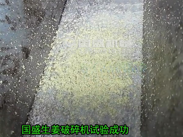 粉碎姜的機(jī)器 粉碎姜的機(jī)器