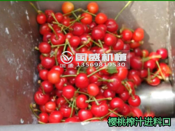 耐腐蝕不銹鋼螺旋壓榨機 耐腐蝕不銹鋼螺旋壓榨機