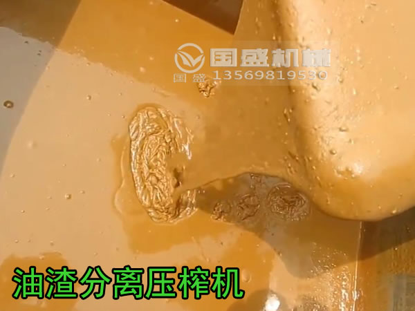 壓榨機榨油效果 壓榨機榨油效果